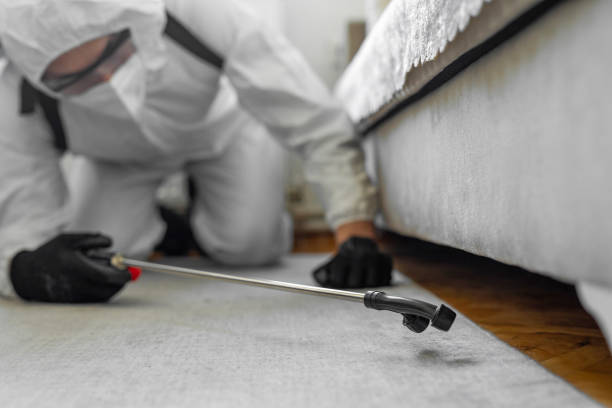 Professional Ant Control technician working in Kingsville, TX