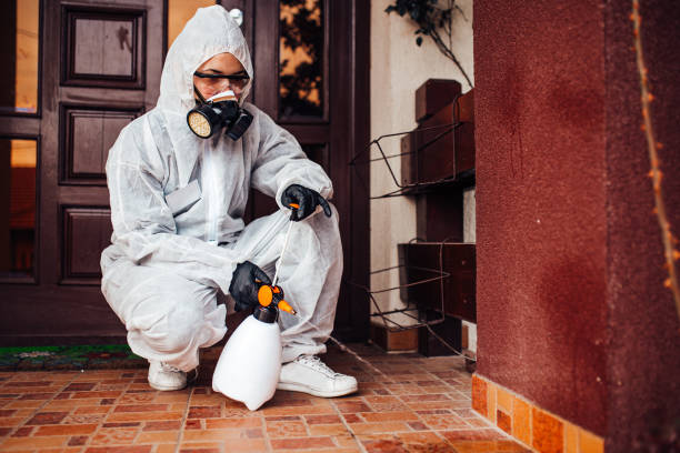 Reliable Ant Control contractor in Kingsville, TX by Nex Pest Control