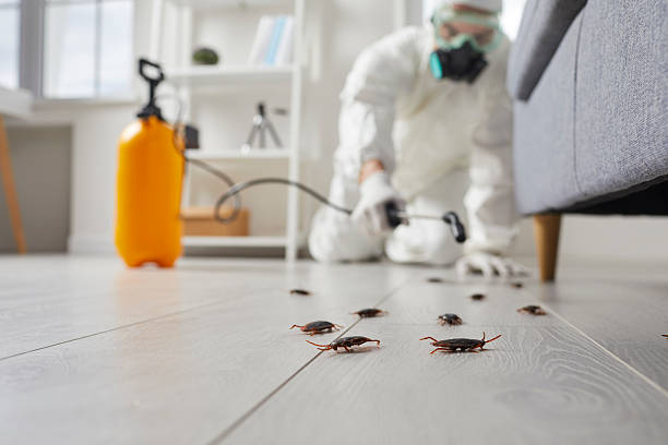 Trusted Rodent Control service in Kingsville, TX - Nex Pest Control