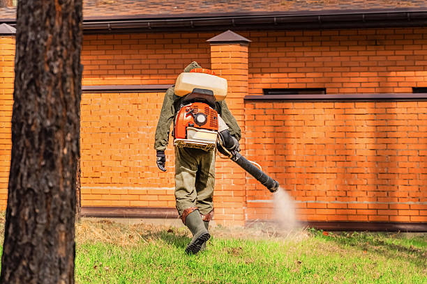 Trusted Mosquito Control service in Kingsville, TX - Nex Pest Control
